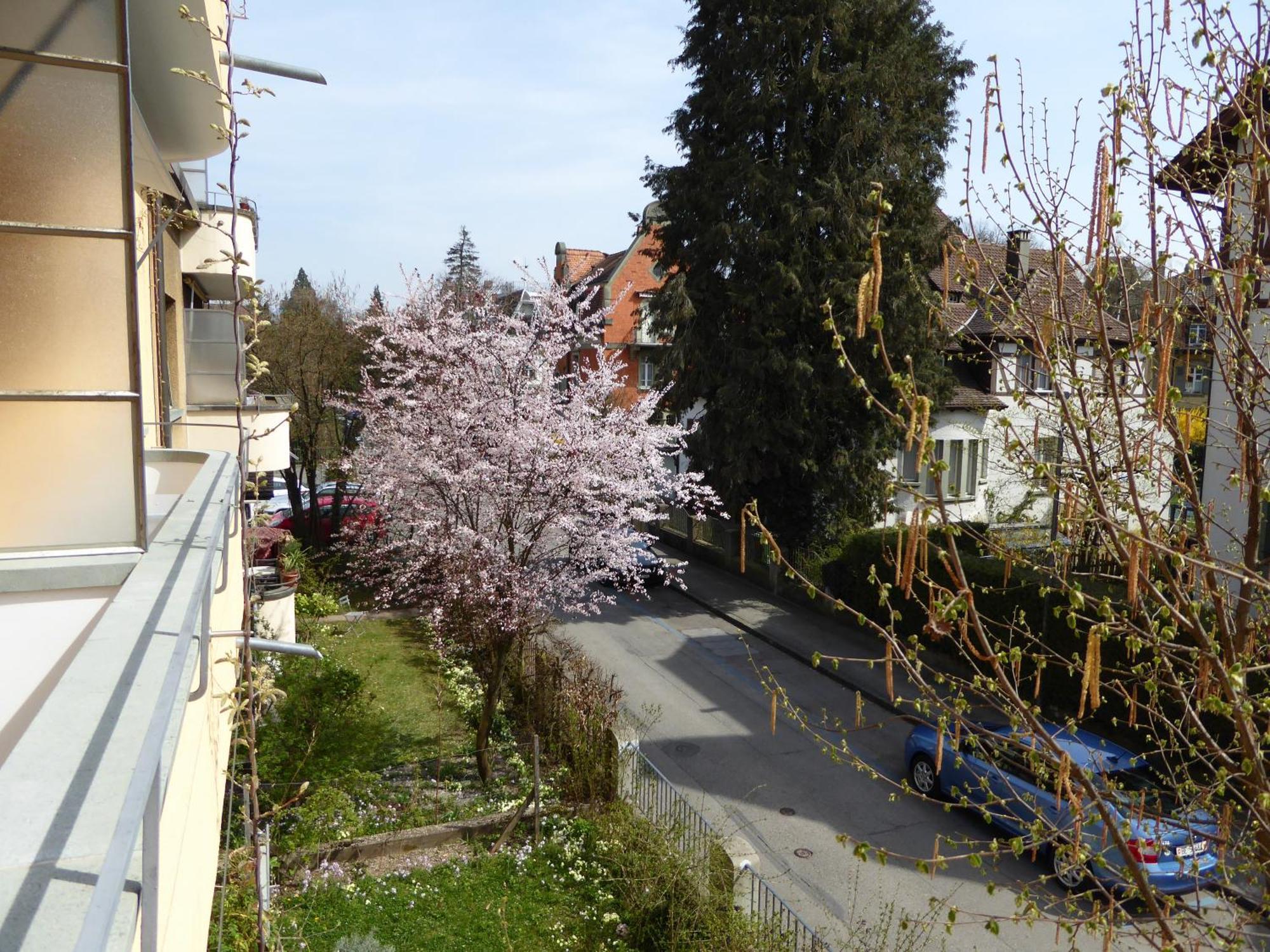 Maison Mosgenstein Berna Esterno foto